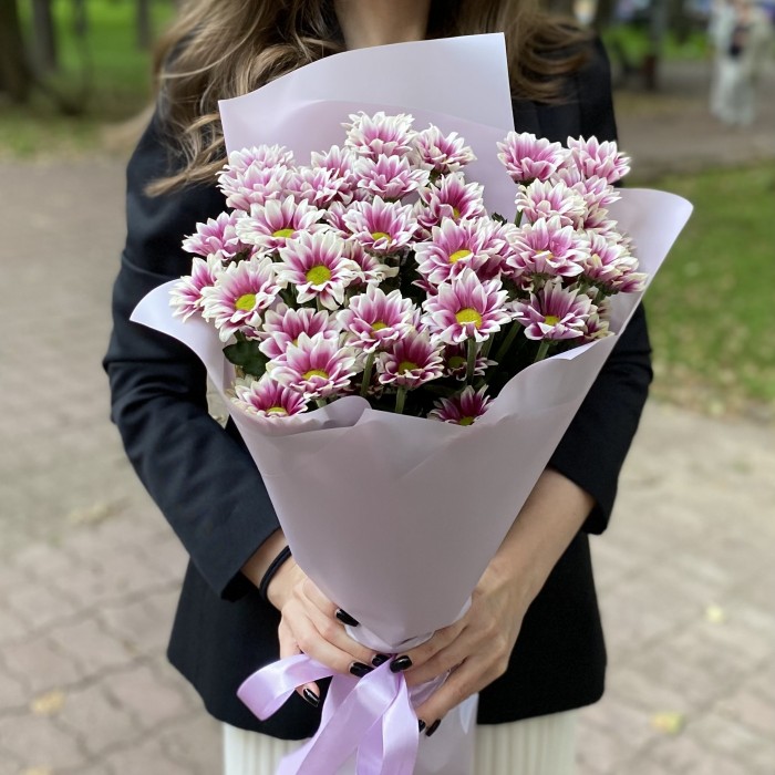 9 кустовых хризантем Хайдар пинк