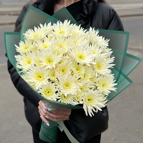 9 кустовых игольчатых хризантем Делиан (Delianne)