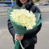 9 кустовых игольчатых хризантем Делиан (Delianne)