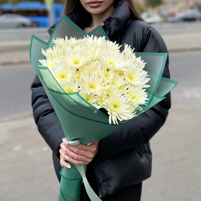 9 кустовых игольчатых хризантем Делиан (Delianne)