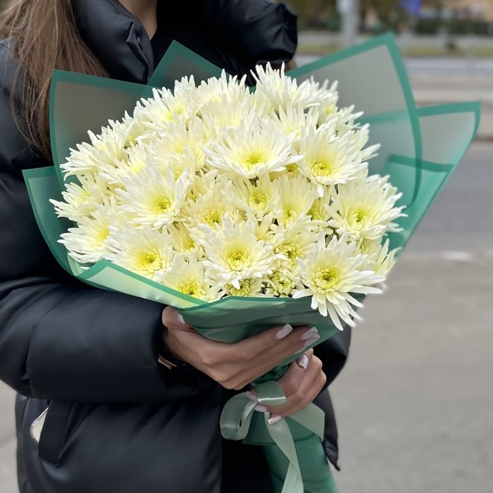 9 кустовых игольчатых хризантем Делиан (Delianne)