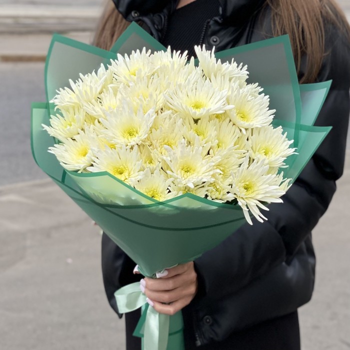 9 кустовых игольчатых хризантем Делиан (Delianne)