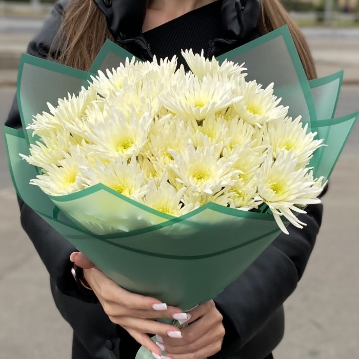 9 кустовых игольчатых хризантем Делиан (Delianne)