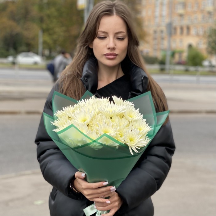 9 кустовых игольчатых хризантем Делиан (Delianne)