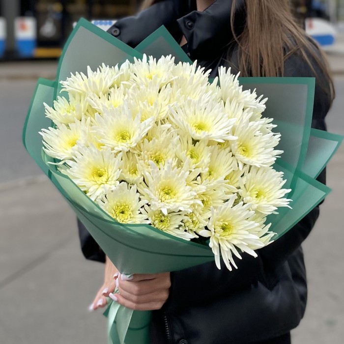 9 кустовых игольчатых хризантем Делиан (Delianne)