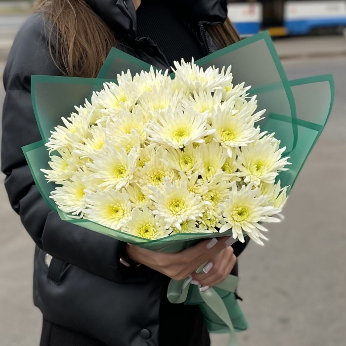 9 кустовых игольчатых хризантем Делиан (Delianne)