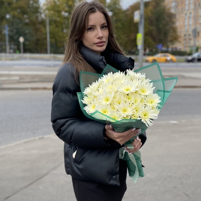 9 кустовых игольчатых хризантем Делиан (Delianne)