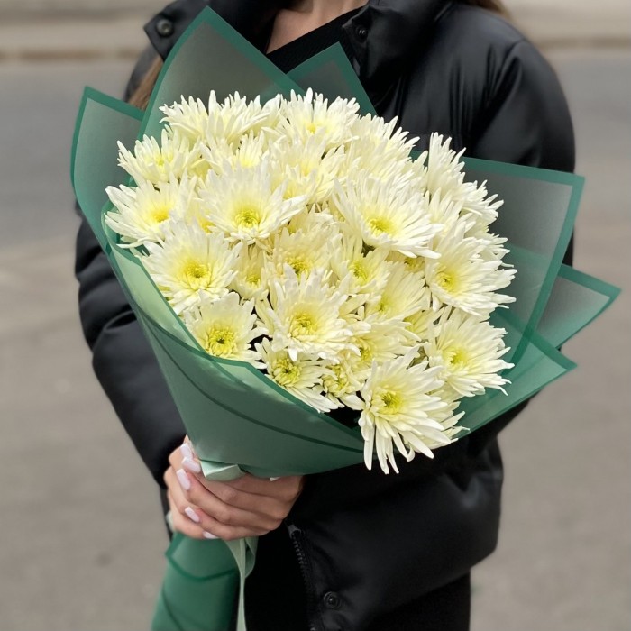 9 кустовых игольчатых хризантем Делиан (Delianne)