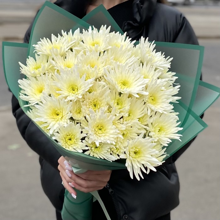 9 кустовых игольчатых хризантем Делиан (Delianne)