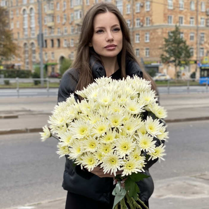 Кустовая игольчатая хризантема Делиан (Delianne)