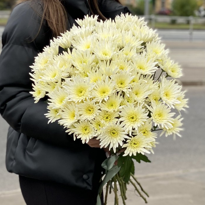 Кустовая игольчатая хризантема Делиан (Delianne)