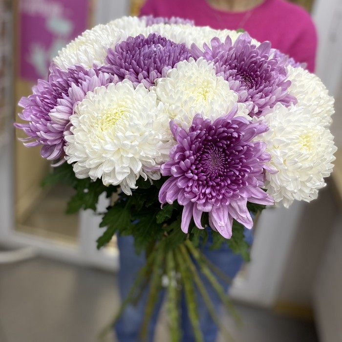 Букет из белой и фиолетовой хризантемы