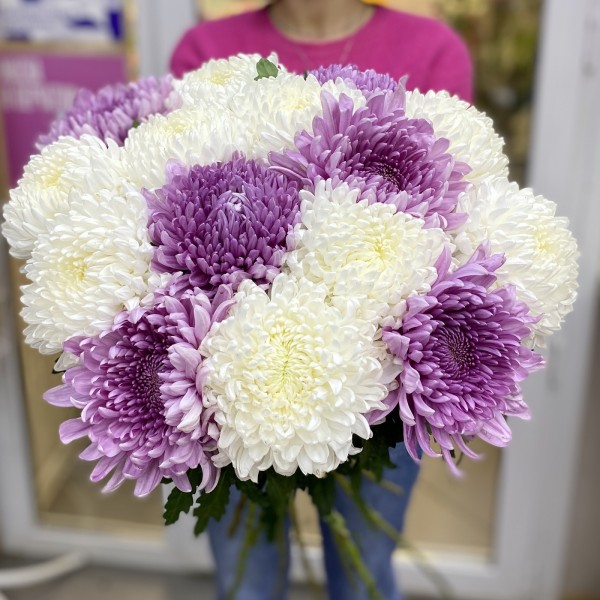Букет из белой и фиолетовой хризантемы