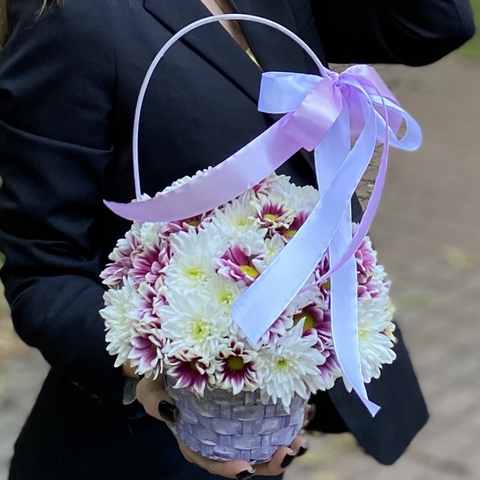 Дуэт кустовых хризантем в корзине