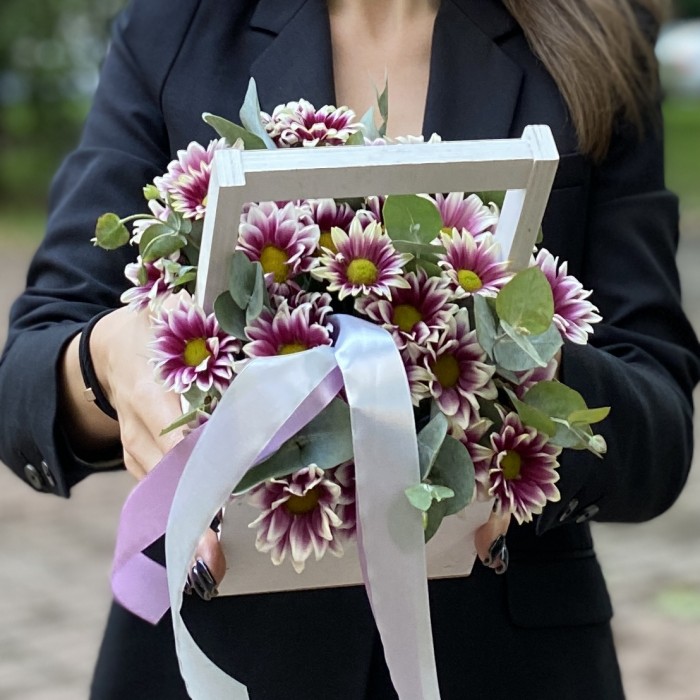 Кустовая хризантема Хайдар пинк в деревянном ящике