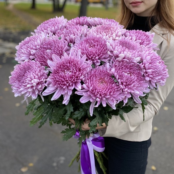 Хризантемы Крым фиолетовая