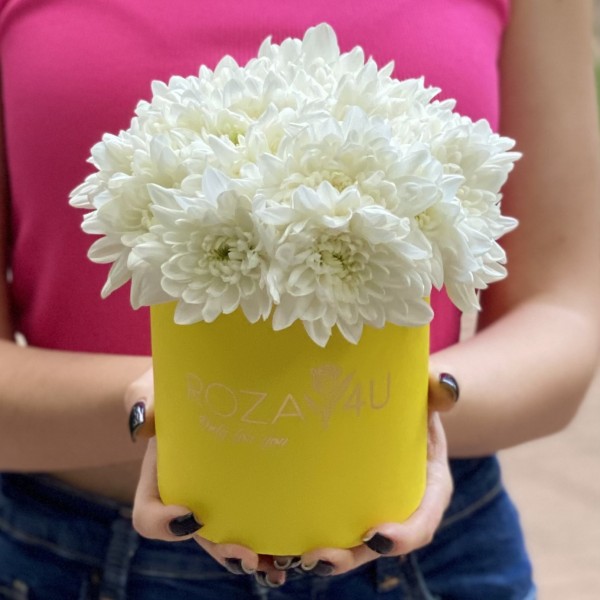 Кустовая белая хризантема Балтика в коробке