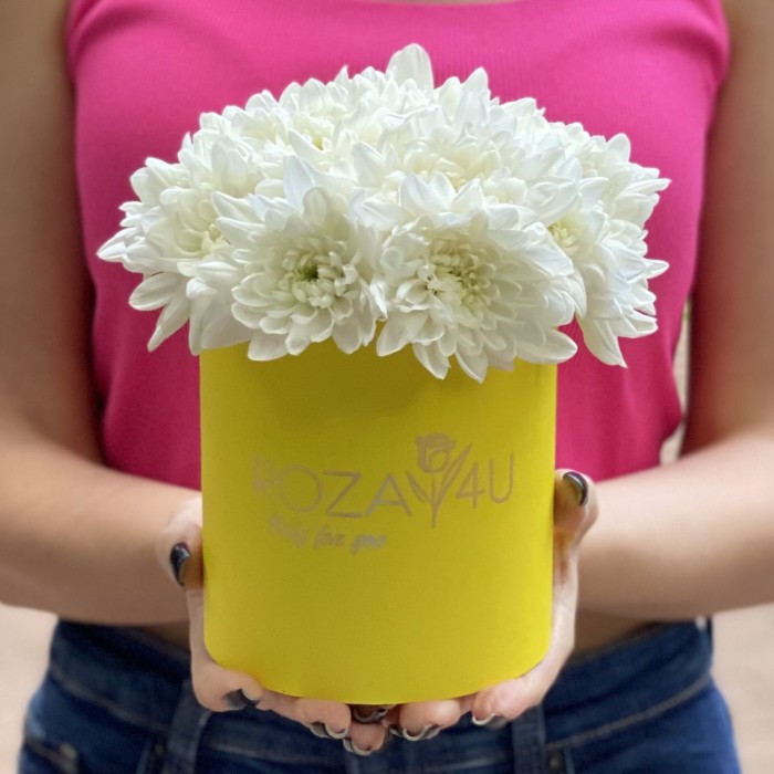 Кустовая белая хризантема Балтика в коробке