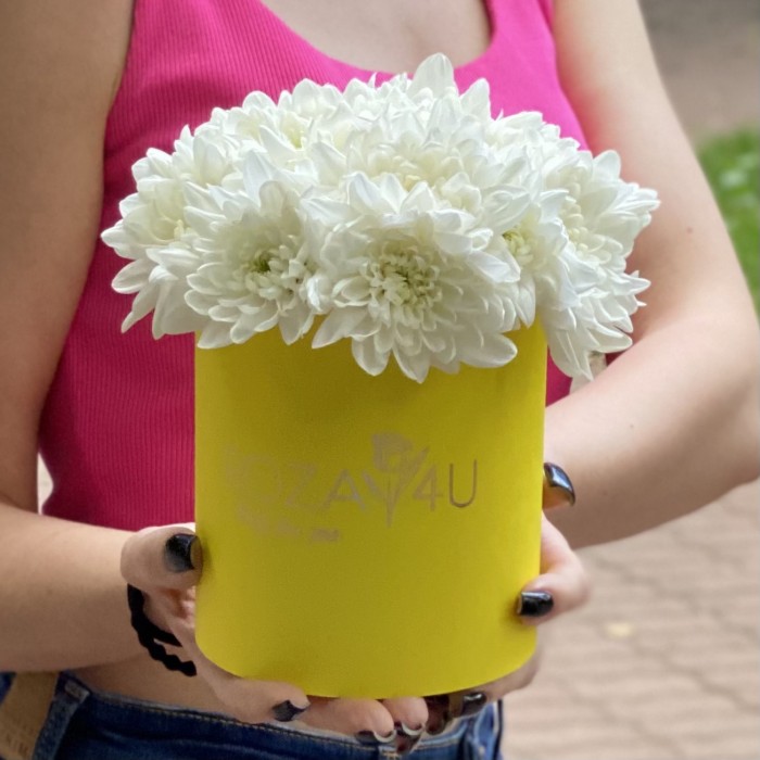 Кустовая белая хризантема Балтика в коробке