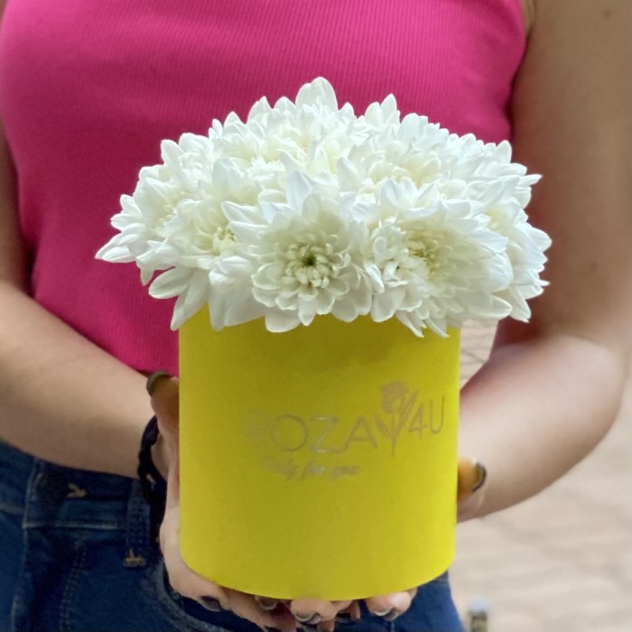 Кустовая белая хризантема Балтика в коробке