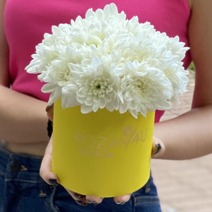 Кустовая белая хризантема Балтика в коробке