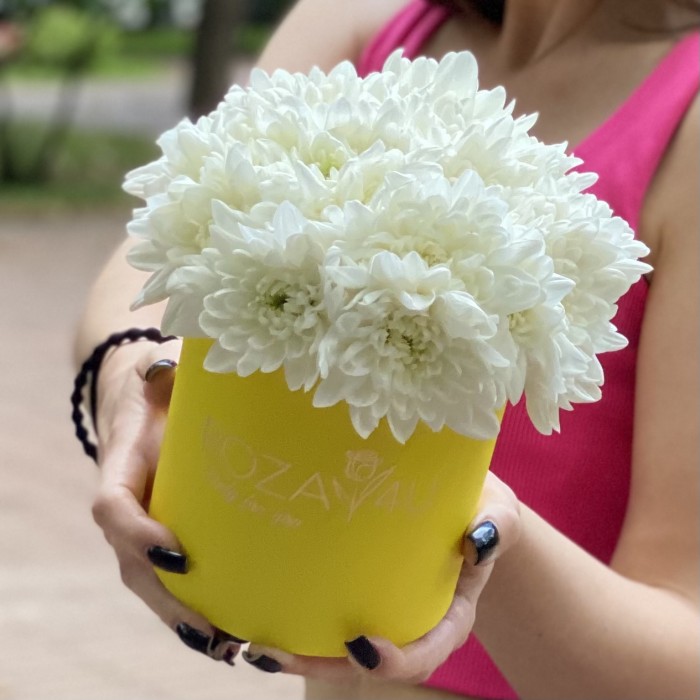 Кустовая белая хризантема Балтика в коробке