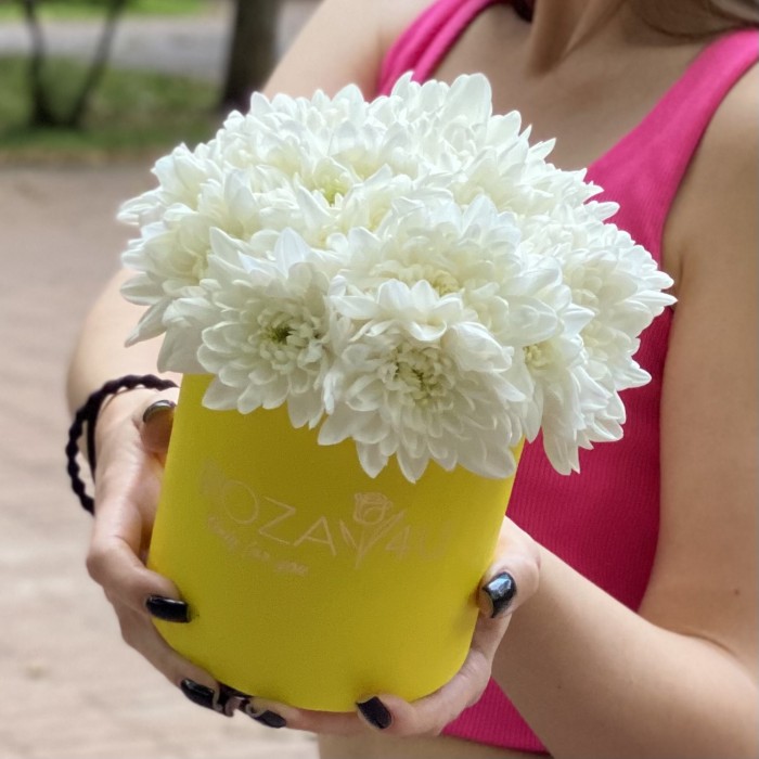 Кустовая белая хризантема Балтика в коробке