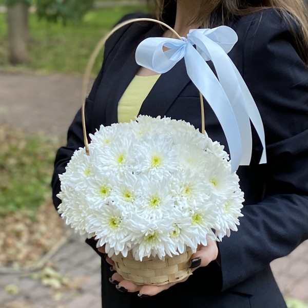 Кустовая белая хризантема Балтика в корзине