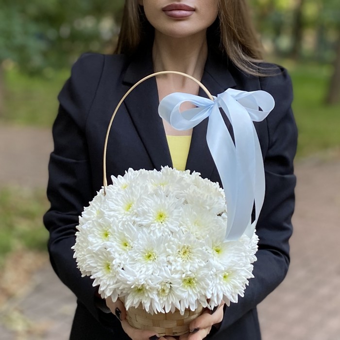 Кустовая белая хризантема Балтика в корзине