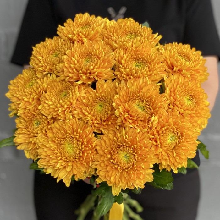 Оранжевая хризантема