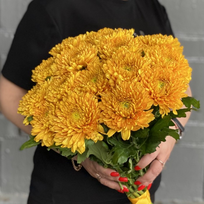 Оранжевая хризантема