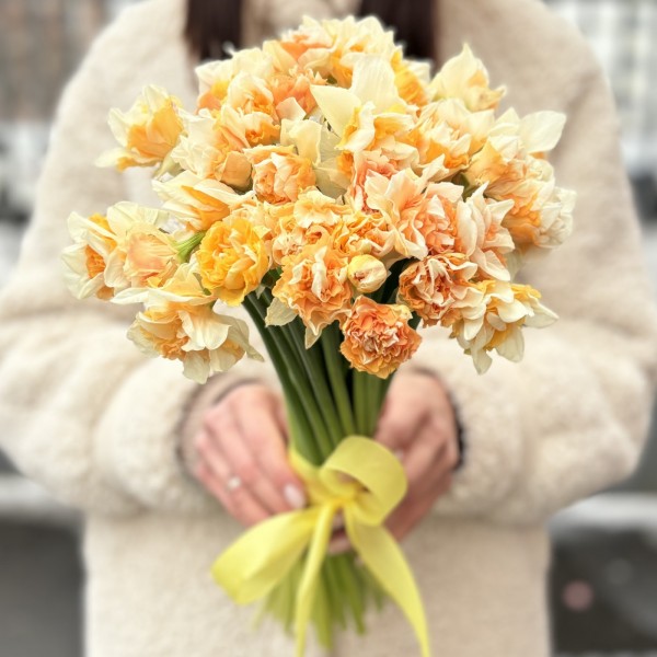 Нарцисс желтый махровый