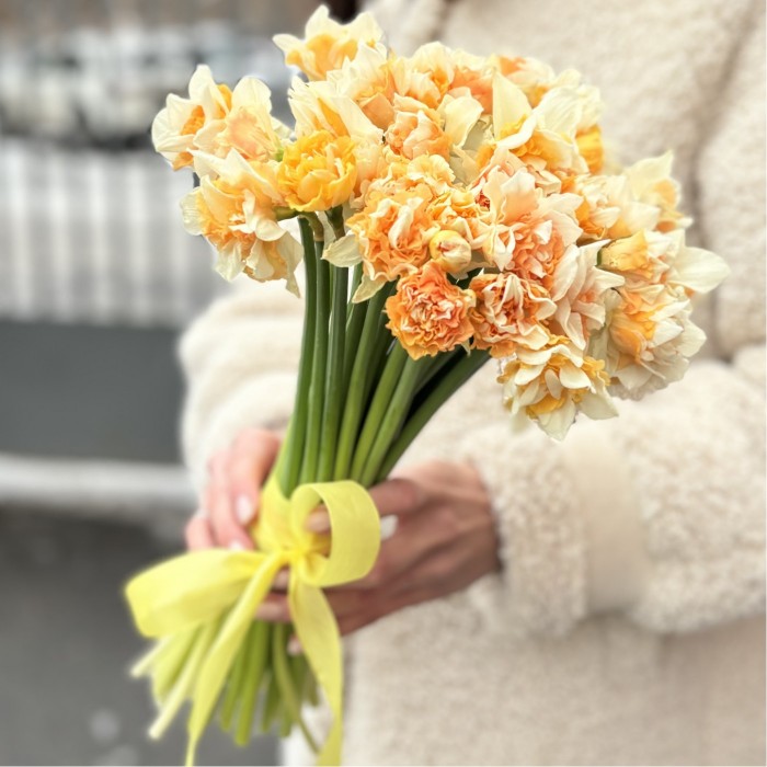 Нарцисс желтый махровый