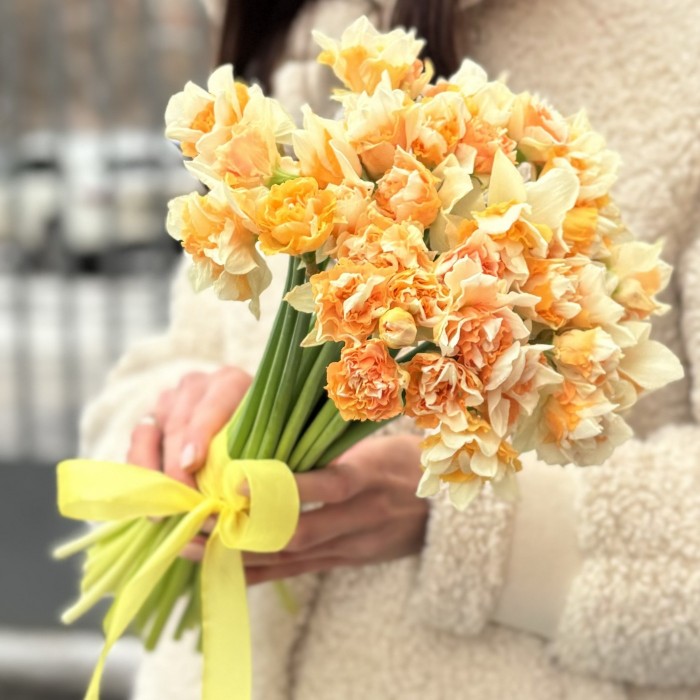 Нарцисс желтый махровый