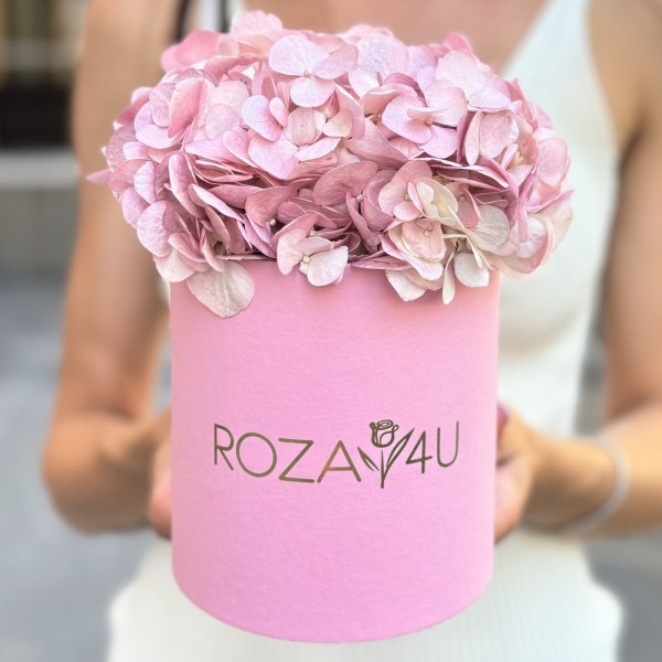 Жемчужно-розовая гортензия в коробке
