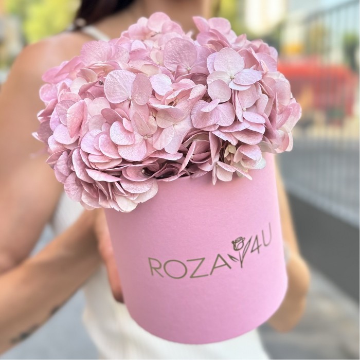 Жемчужно-розовая гортензия в коробке