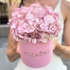Жемчужно-розовая гортензия в коробке