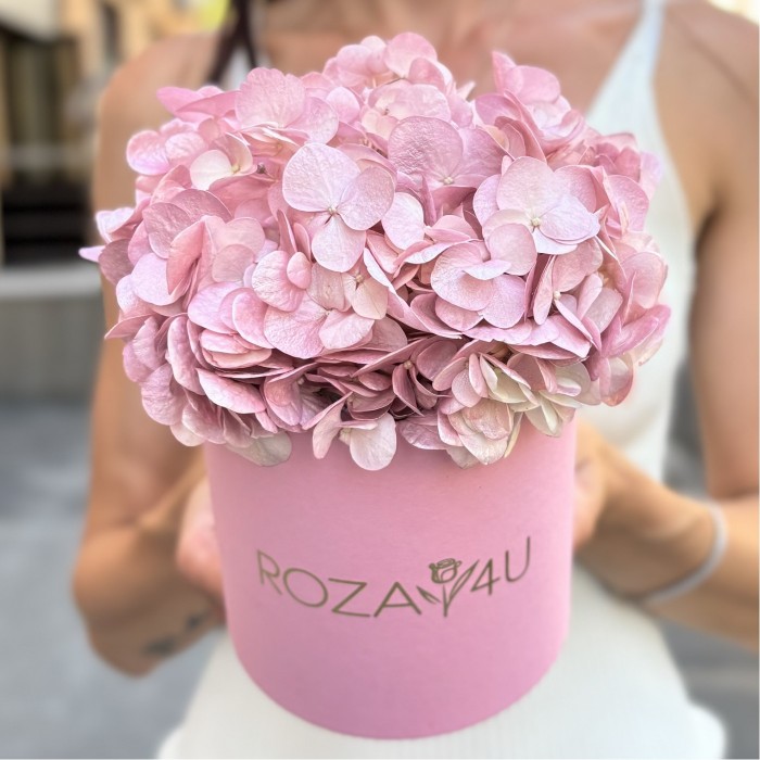 Жемчужно-розовая гортензия в коробке
