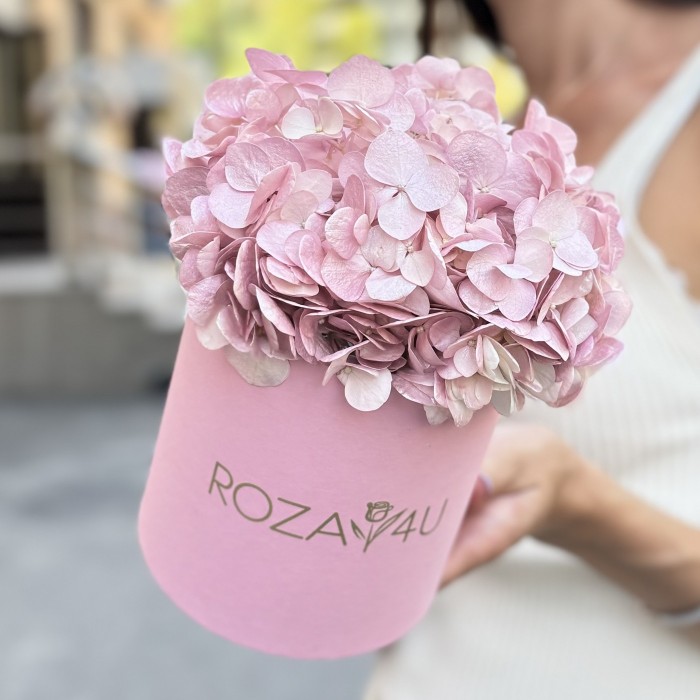 Жемчужно-розовая гортензия в коробке