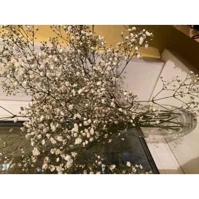 Фото отзыв: Спасибо за сервис, все очень удобно. Цветы понравились, будут стоять и радовать своим милым очарованием