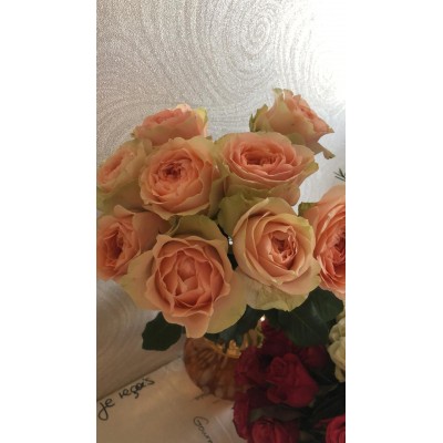 Фото отзыв: Всем советую данный сайт, очень красивые ,свежие цветы, в придачу приносят средство для ухода за цветами, все оперативно,молодцы, подарили приятные эмоции