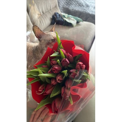 Фото отзыв: Заказали букет на день рожденья, все получилось наилучшим образом - букет хорош и свеж, прибыл точно в срок с постоянным информационным сопровождением! Все исключительно довольны и счастливы, спасибо за букет и замечательный сервис!