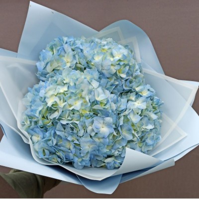 Фото отзыв: Шикарно!!!