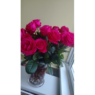 Фото отзыв: Выше всяких похвал. Распустилась. Бутоны большие. 