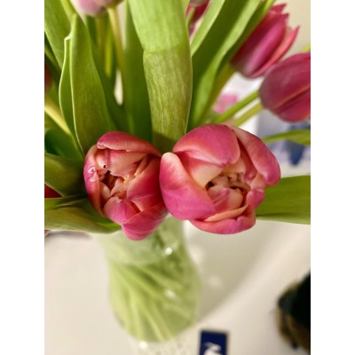 Фото отзыв: Здравствуйте!!! Снова воспользовалась услугами этой компании) И опять не пожалела. Это становится доброй традицией) <br />
Заказала накануне дочке на именины тюльпаны Колумбус. Доставили вовремя. Все цветы свежие и целые. Бутоны были не раскрывшиеся и трудно было сообразить, пионовидные они или нет) Но зная их свойства в тепле быстро распускаться, через пару часов стало видно всю их красоту!!! Скоро праздник у милых дам, очень рекомендую на подарок) Не пожалеете. Заявленные пять дней простоять и не завять, оправдались.