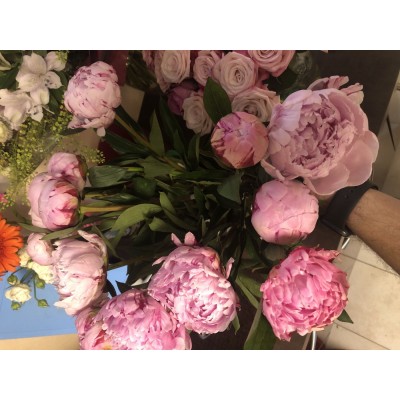 Фото отзыв: Заказал 15 пионов. Все цветы свежие, ещё не раскрыты. Счастью жены нет предела))))