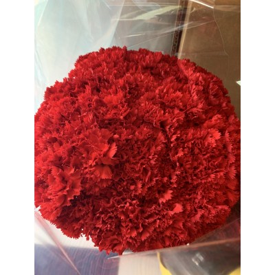 Фото отзыв: Хочу выразить слова благодарности за прекрасный букет, очень красивые и свежие гвоздики! Спасибо салону! Все сделали быстро и качественно.