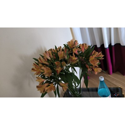 Фото отзыв: Заказывала букет из 15 Астомелий, заказ оформили быстро! Цветы очень свежие, а когда бутоны распустились, букет стал царским! Доставка в положенное время,. Все очень понравилось! 