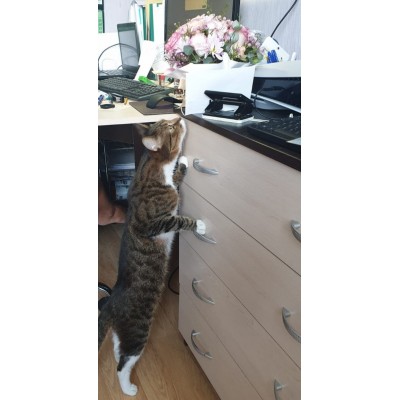 Фото отзыв: Все быстро доставили ,цветы очень  понравились ,не только именнинице