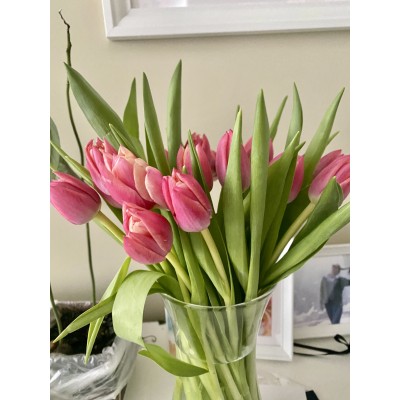 Фото отзыв: Здравствуйте!!! Снова воспользовалась услугами этой компании) И опять не пожалела. Это становится доброй традицией) <br />
Заказала накануне дочке на именины тюльпаны Колумбус. Доставили вовремя. Все цветы свежие и целые. Бутоны были не раскрывшиеся и трудно было сообразить, пионовидные они или нет) Но зная их свойства в тепле быстро распускаться, через пару часов стало видно всю их красоту!!! Скоро праздник у милых дам, очень рекомендую на подарок) Не пожалеете. Заявленные пять дней простоять и не завять, оправдались.